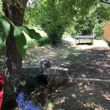 Gite Dans Le Sud Aveyron Saint-Affrique Zewnętrze zdjęcie